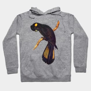 Yellow-tailed Black Cockatoo Hoodie